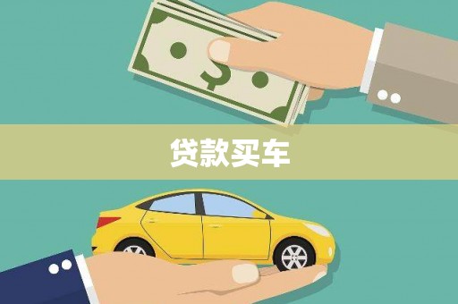 理县贷款买车