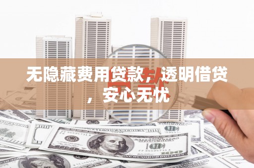 理县无隐藏费用贷款，透明借贷，安心无忧