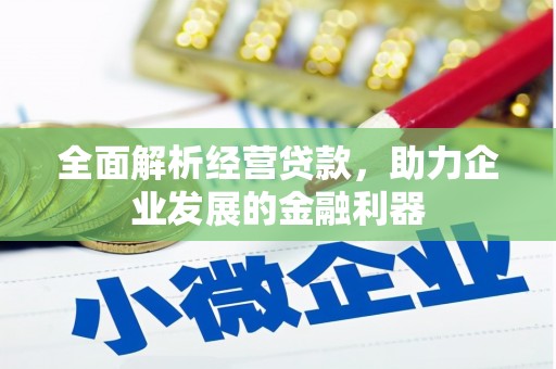 理县全面解析经营贷款，助力企业发展的金融利器