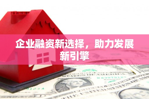 理县企业融资新选择，助力发展新引擎