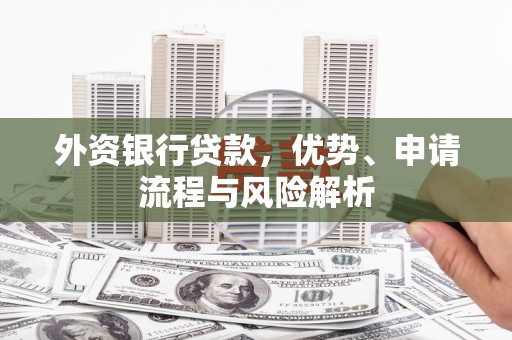 理县外资银行贷款，优势、申请流程与风险解析