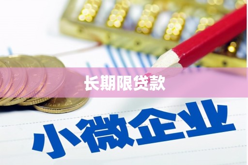 理县长期限贷款