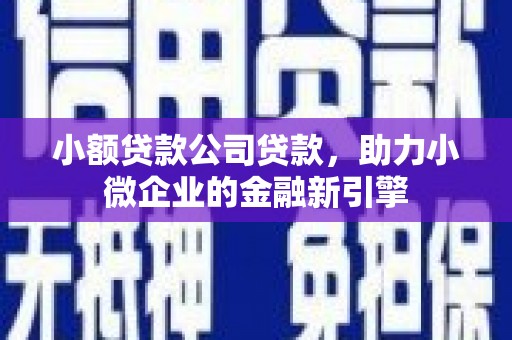 理县小额贷款公司贷款，助力小微企业的金融新引擎