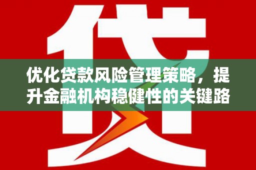 理县优化贷款风险管理策略，提升金融机构稳健性的关键路径