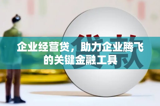 理县企业经营贷，助力企业腾飞的关键金融工具