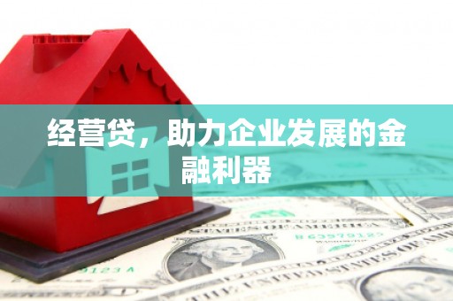 理县经营贷，助力企业发展的金融利器