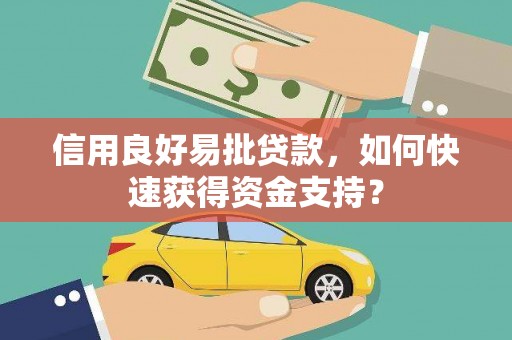 理县信用良好易批贷款，如何快速获得资金支持？