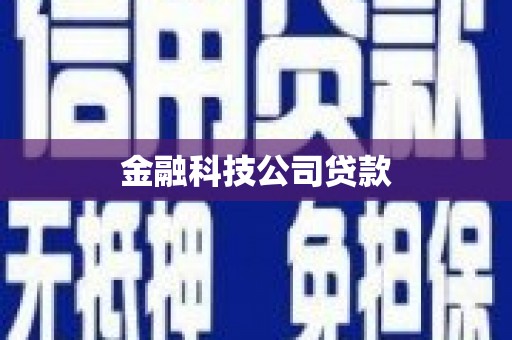 理县金融科技公司贷款
