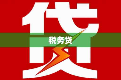 理县税务贷