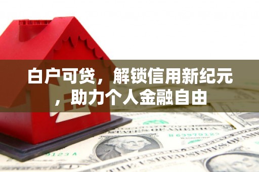 理县白户可贷，解锁信用新纪元，助力个人金融自由
