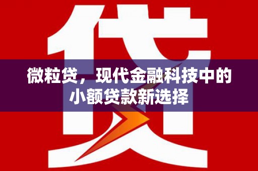 理县微粒贷，现代金融科技中的小额贷款新选择