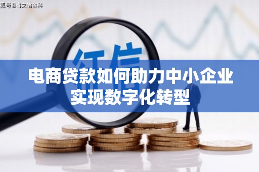 理县电商贷款如何助力中小企业实现数字化转型