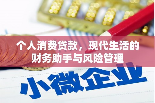 理县个人消费贷款，现代生活的财务助手与风险管理