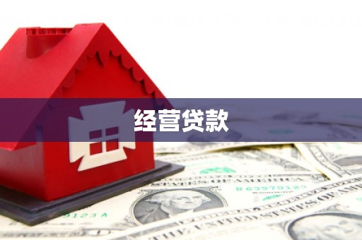 理县经营贷款