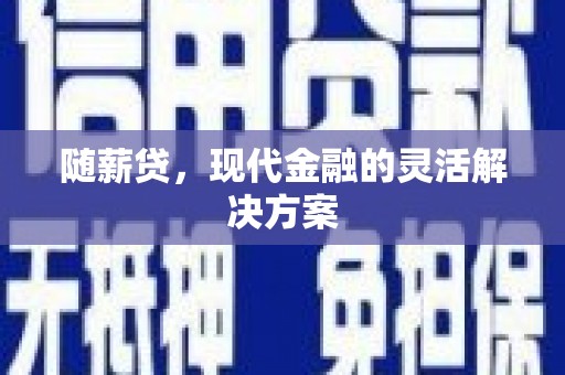 理县随薪贷，现代金融的灵活解决方案