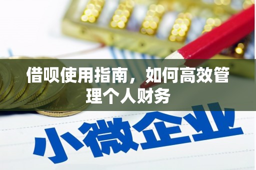 理县借呗使用指南，如何高效管理个人财务