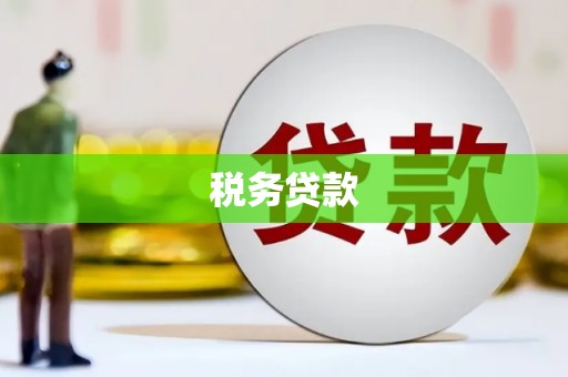 理县税务贷款