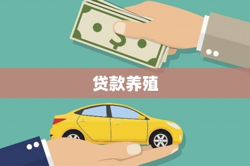 理县贷款养殖