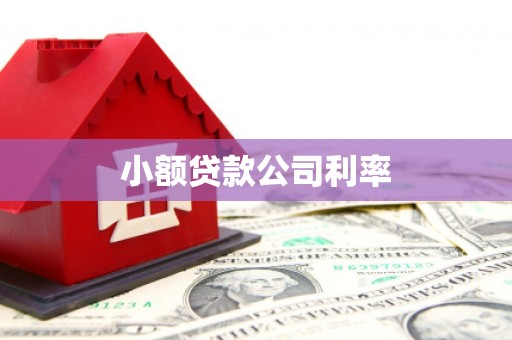理县小额贷款公司利率