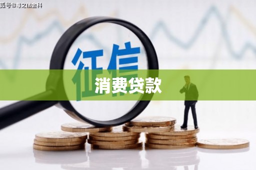 理县消费贷款