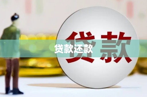 理县贷款还款