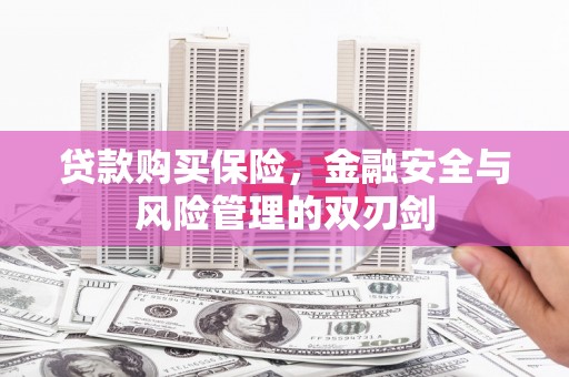 理县贷款购买保险，金融安全与风险管理的双刃剑