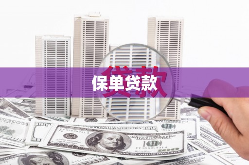 理县保单贷款