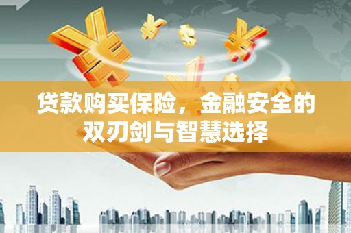 理县贷款购买保险，金融安全的双刃剑与智慧选择