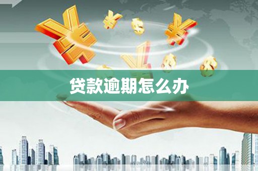 理县贷款逾期怎么办