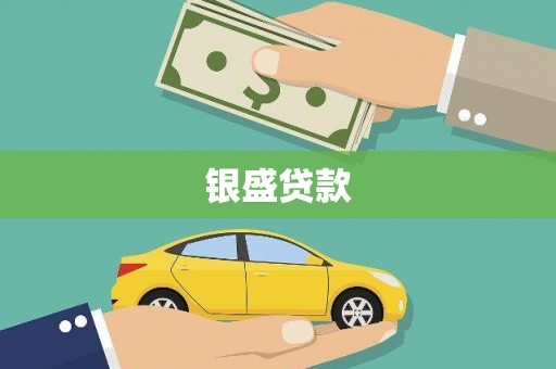 理县银盛贷款