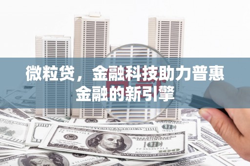 理县微粒贷，金融科技助力普惠金融的新引擎