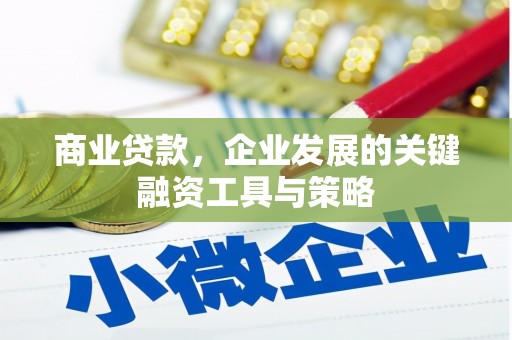 理县商业贷款，企业发展的关键融资工具与策略