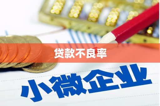 理县贷款不良率