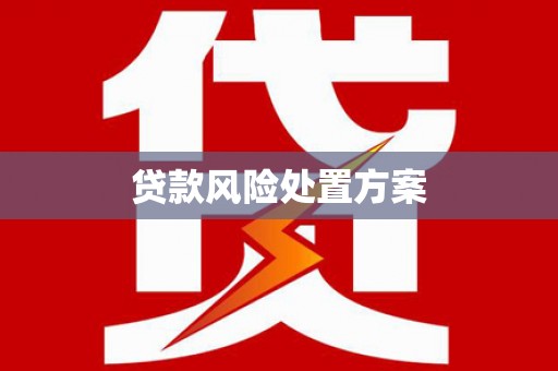 理县贷款风险处置方案