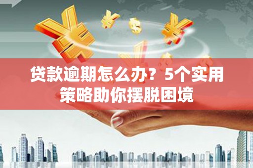 理县贷款逾期怎么办？5个实用策略助你摆脱困境