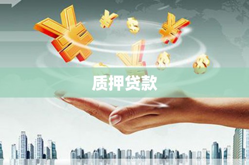 理县质押贷款