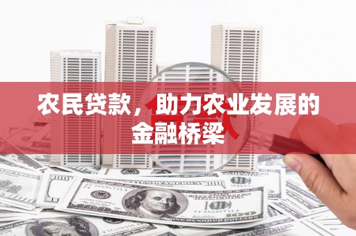 理县农民贷款，助力农业发展的金融桥梁