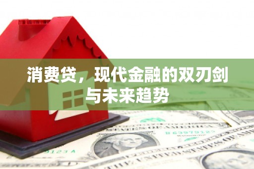 理县消费贷，现代金融的双刃剑与未来趋势