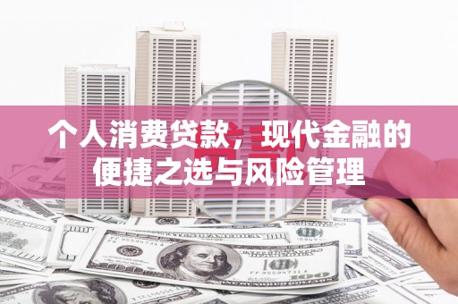 理县个人消费贷款，现代金融的便捷之选与风险管理