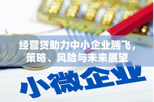 理县经营贷助力中小企业腾飞，策略、风险与未来展望