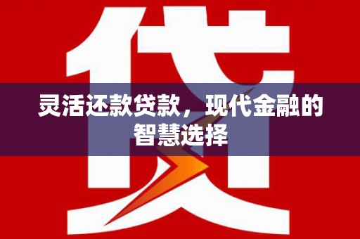 理县灵活还款贷款，现代金融的智慧选择