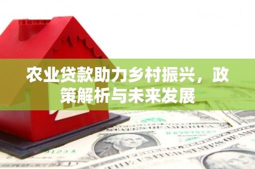 理县农业贷款助力乡村振兴，政策解析与未来发展