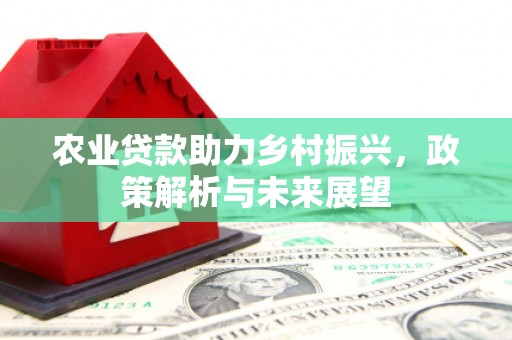 理县农业贷款助力乡村振兴，政策解析与未来展望