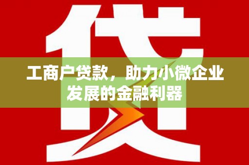 理县工商户贷款，助力小微企业发展的金融利器