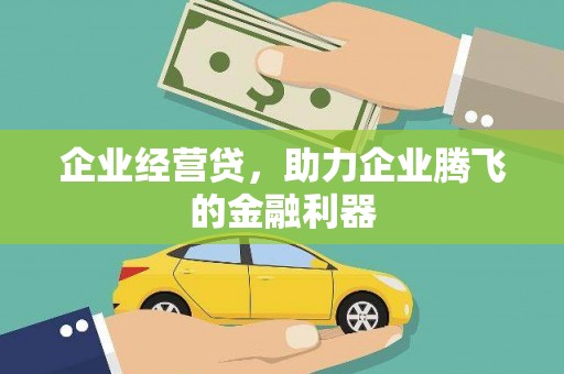 理县企业经营贷，助力企业腾飞的金融利器