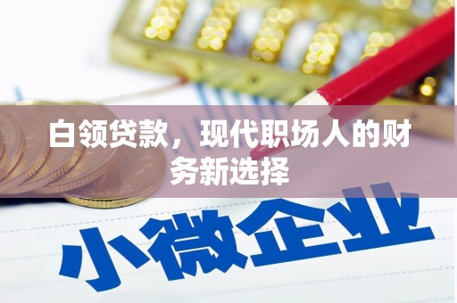 理县白领贷款，现代职场人的财务新选择