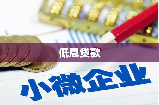 理县低息贷款