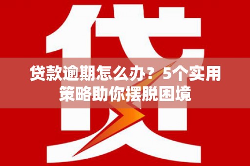 理县贷款逾期怎么办？5个实用策略助你摆脱困境