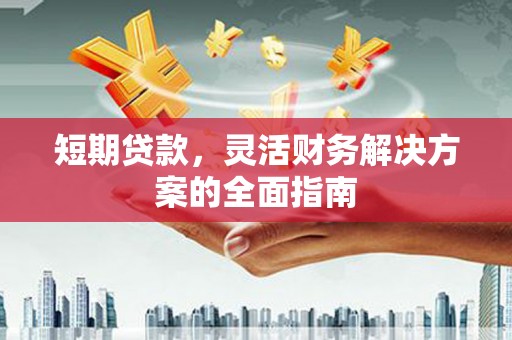 理县短期贷款，灵活财务解决方案的全面指南