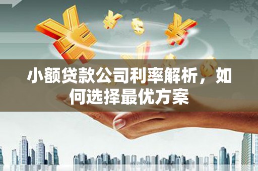 理县小额贷款公司利率解析，如何选择最优方案